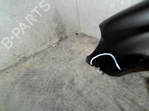 Left front fenders MERCEDES-BENZ M-CLASS (W163) ML 270 CDI (163.113) | BP21953945C41 