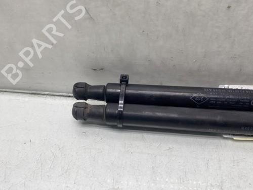 Tailgate lift support DACIA DUSTER (HS_) 1.2 TCe 125 | BP19989987C138 