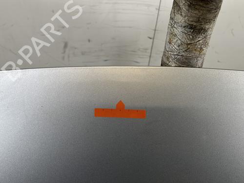 Hood PEUGEOT 206+ (2L_, 2M_) 1.4 HDi eco 70 | BP32063016C1 