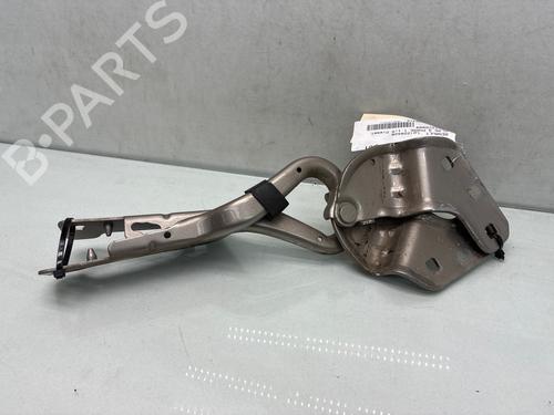 hingedoor-check-strap-renault-clio-iii-br01-cr01-2005-2006-2007-2008-2009-2010-2011-2012-2013-2014-34243337 main image