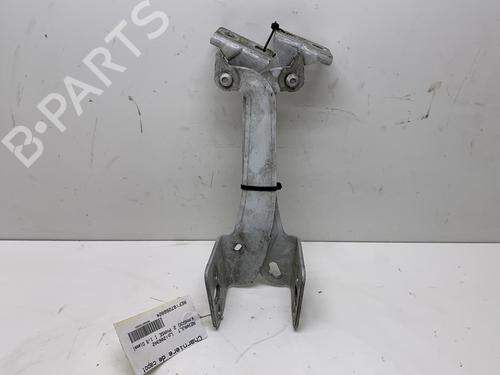 Hinge/Door check strap RENAULT KANGOO Express (FW0/1_)  | BP20023593C146 