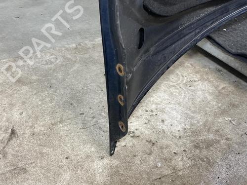 Hood MERCEDES-BENZ M-CLASS (W163) ML 270 CDI (163.113) | BP21560348C1 