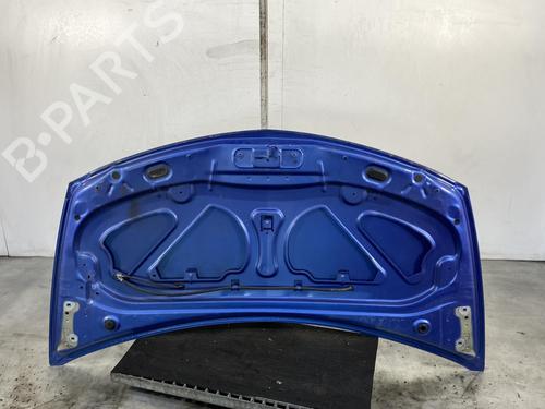 Hood RENAULT CLIO III (BR0/1, CR0/1) 1.6 16V GT (BR10, CR10) | BP19972713C1 