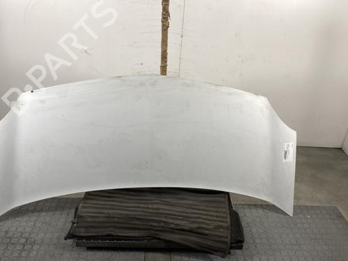 Used Hood RENAULT KANGOO Express (FW0/1_) 1.5 dCi 70 (FW0A, KW0V) (68 hp) 24294934