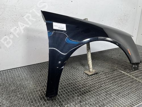 Right front fenders VW PASSAT B6 (3C2) 2.0 TDI 16V | BP29841390C42