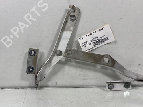 Used Hinge/Door check strap PEUGEOT PARTNER Tepee 1.6 HDi (112 hp) 29886858