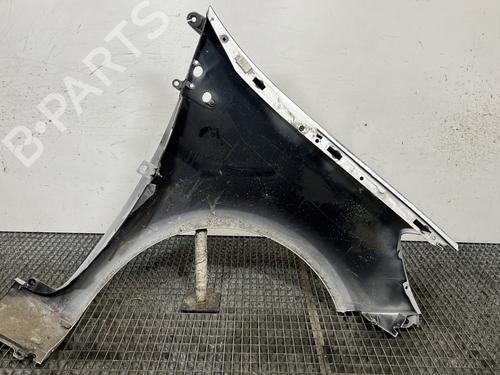 Left front fenders RENAULT CLIO III (BR0/1, CR0/1) 1.5 dCi (C/BR0G, C/BR1G) | BP29501667C41 