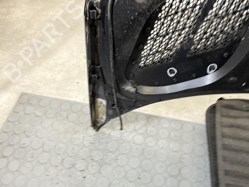 Hood PEUGEOT 206+ (2L_, 2M_) 1.1 | BP30878588C1 