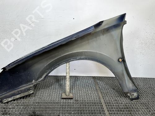 Right front fenders OPEL SIGNUM Hatchback (Z03) 1.9 CDTI (F48) | BP28542897C42