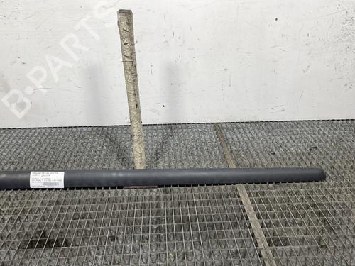 Door moulding trim PEUGEOT 307 (3A/C) 1.4 HDi 8545W0