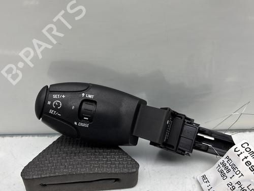 Pulsantiera PEUGEOT 3008 I MPV (0U_) 1.6 HDi (109 hp) 29842037