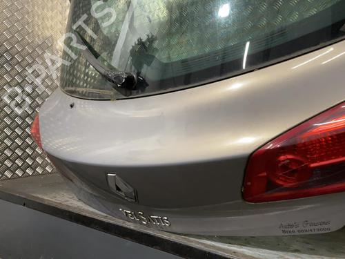 Tailgate RENAULT VEL SATIS (BJ0_) 2.2 dCi (BJ0E, BJ0F) | BP19979721C6 
