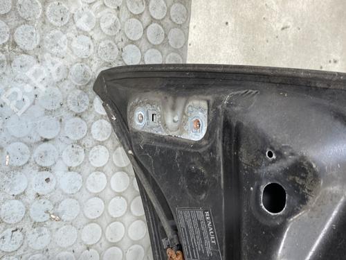 Hood RENAULT TWINGO II (CN0_) 1.2 16V (CN0K, CN0V, CN0A) | BP24420439C1 