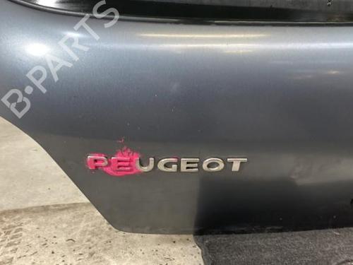 Bakluke CC/Kombi-Kupé PEUGEOT 307 (3A/C) 1.6 HDi | BP21960830C6 