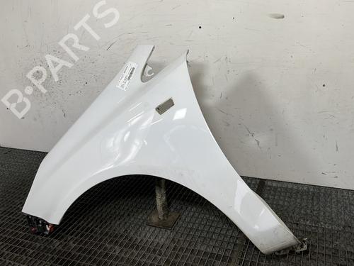 Błotnik przedni lewy OPEL CORSA D (S07) 1.3 CDTI (L08, L68) | BP30900370C41