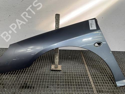 Used Left front fenders PEUGEOT 407 (6D_) 1.6 HDi 110 (6D9HZC, 6D9HYC) (109 hp) 29269627