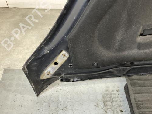 Hood CITROËN C4 Picasso I MPV (UD_) 2.0 HDi 138 | BP23769910C1 