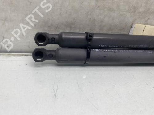 Tailgate lift support RENAULT CLIO III (BR0/1, CR0/1)  | BP19969750C138 