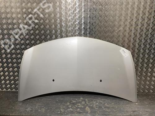 Used Hood RENAULT CLIO III (BR0/1, CR0/1) 1.5 dCi (C/BR0G, C/BR1G) (68 hp) 21955702