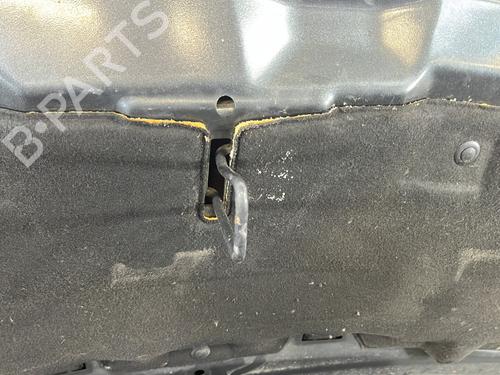 Hood PEUGEOT 3008 I MPV (0U_) 1.6 HDi | BP29748987C1