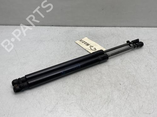 tailgate-lift-support-renault-twingo-ii-cn0_-2007-25476645 main image