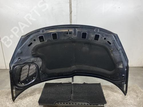 Used Hood PEUGEOT 206+ (2L_, 2M_) 1.4 HDi eco 70 (68 hp) 19970198