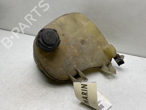 Used Expansion tank RENAULT AVANTIME (DE0_) 2.2 dCi (DE01) (150 hp) 25652524