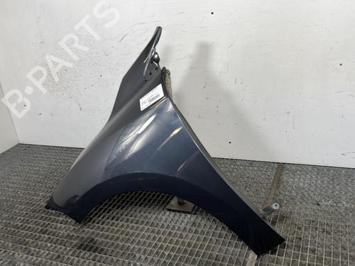 Left front fenders RENAULT MEGANE III Hatchback (BZ0/1_, B3_) 1.5 dCi (BZ0C) | BP29287178C41