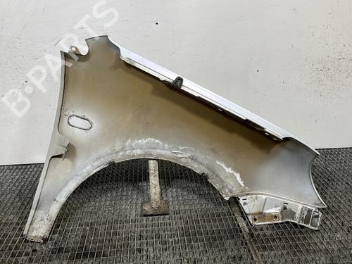 Left front fenders VW POLO IV (9N_, 9A_) 1.2 12V | BP29501675C41 