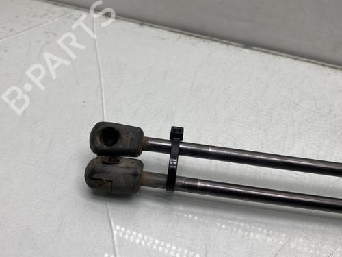 hood-lift-support-renault-megane-iii-coupe-dz01_-2008-2009-2010-2011-2012-2013-2014-2015-2016-23765305 main image