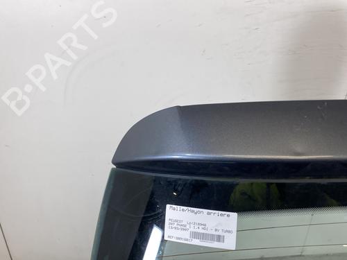 Tailgate PEUGEOT 207 (WA_, WC_) 1.4 HDi | BP22602179C6 