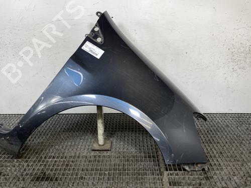Used Right front fenders RENAULT CLIO III (BR0/1, CR0/1) 1.5 dCi (BR17, CR17) (86 hp) 25130200