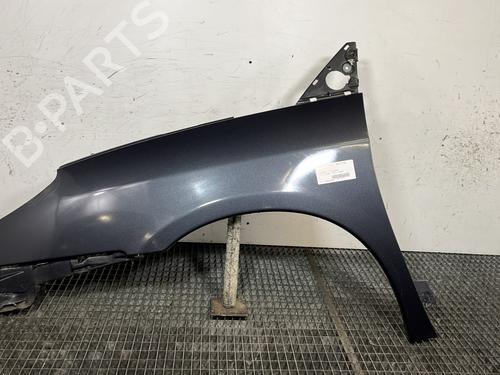 Used Left front fenders CITROËN C8 (EA_, EB_) 2.0 HDi 165 (163 hp) 30900360