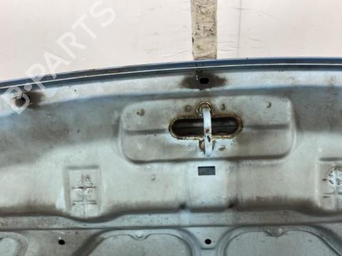 Hood HYUNDAI GETZ (TB) 1.1 | BP21962051C1 