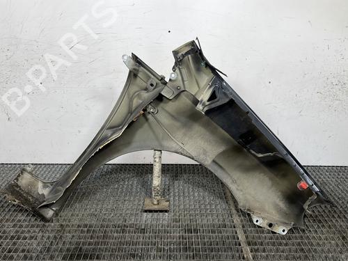 Left front fenders FIAT GRANDE PUNTO (199_) 1.2 | BP29995813C41
