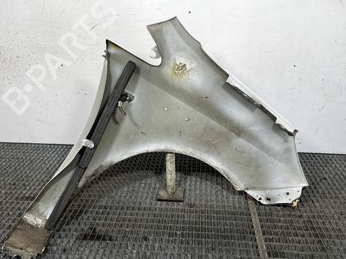 Left front fenders OPEL CORSA D (S07) 1.3 CDTI (L08, L68) | BP28281822C41 