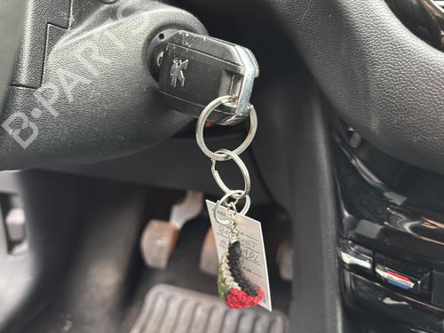 Right front door PEUGEOT 208 I (CA_, CC_) 1.6 HDi | BP29564713C3 