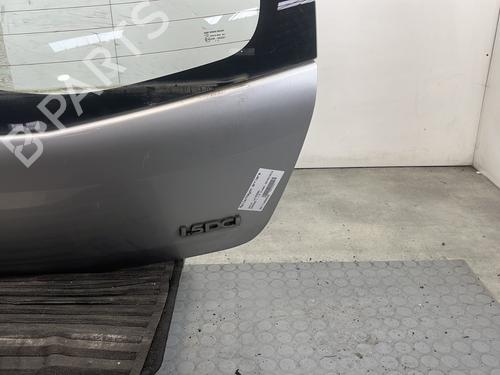 Tailgate DACIA SANDERO 1.5 dCi | BP32524464C6 