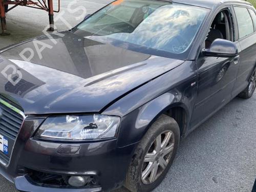 Left front door AUDI A3 Sportback (8PA) 2.0 TFSI quattro | BP22713720C2 