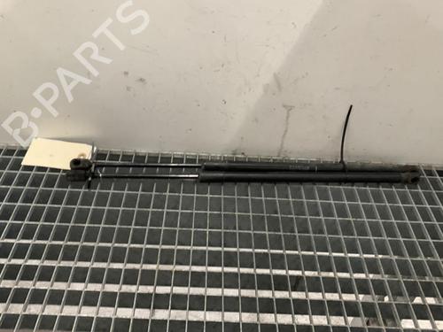 Tailgate lift support TOYOTA COROLLA Verso (ZER_, ZZE12_, R1_) 2.2 D-4D (AUR10_, AUR10R) | BP19996281C138 