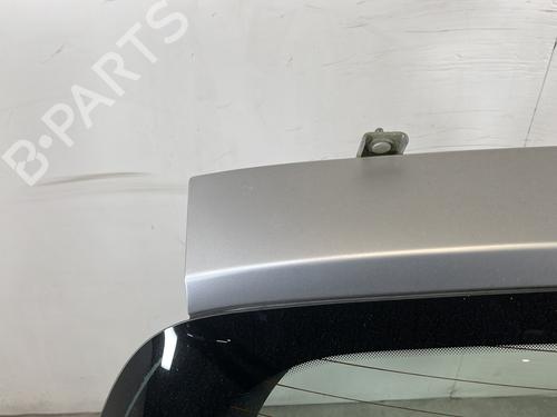 Tailgate RENAULT CLIO III (BR0/1, CR0/1) 1.5 dCi (BR17, CR17) | BP29711709C6 
