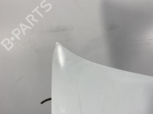 Hood RENAULT MEGANE I (BA0/1_) 1.9 dTi (BA1U) | BP21372862C1 