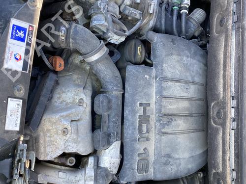 Dørliste CITROËN BERLINGO Box Body/MPV (B9) | BP34561364C150 - Image 4
