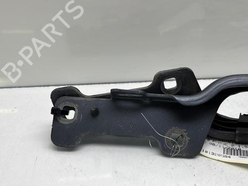 Hinge/Door check strap RENAULT CLIO III (BR0/1, CR0/1) 1.5 dCi | BP24428208C146 