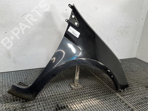 Right front fenders RENAULT CLIO III (BR0/1, CR0/1) 1.5 dCi (BR17, CR17) | BP28281193C42 