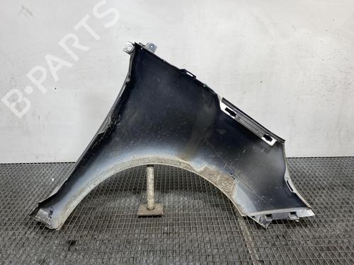Left front fenders RENAULT SCÉNIC III (JZ0/1_) 1.5 dCi | BP19962307C41
