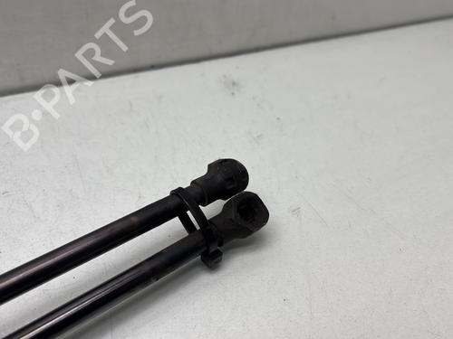 Tailgate lift support RENAULT MEGANE IV Hatchback (B9A/M/N_) 1.5 dCi 110 (B9A3) | BP29841742C138