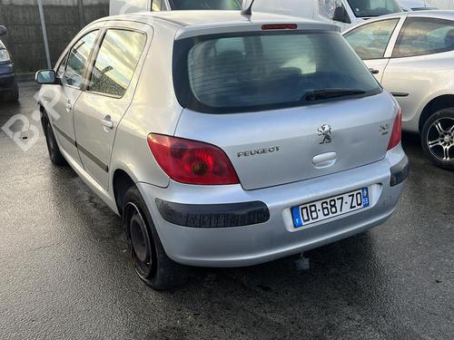 Hinge/Door check strap PEUGEOT 307 (3A/C) 2.0 HDi 110 | BP19956831C146 