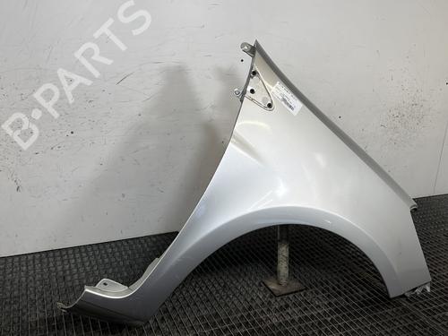 Right front fenders RENAULT CLIO III (BR0/1, CR0/1) 1.5 dCi (BR17, CR17) | BP29707650C42 