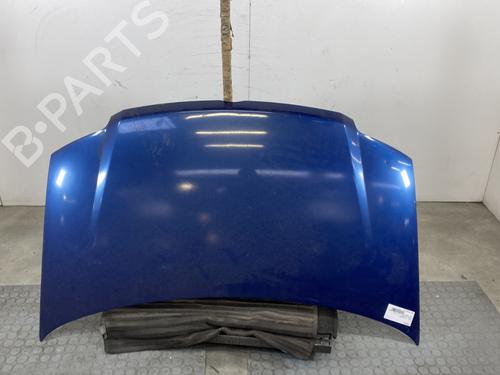 Used Hood FIAT PANDA (169_) 1.3 D Multijet (169.AXC1A) (70 hp) 24619183